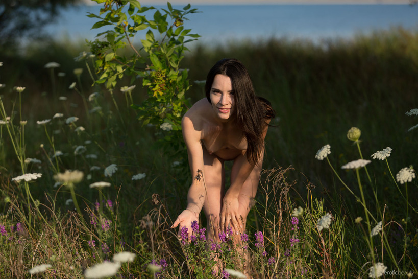 Lost In The Meadow 18
