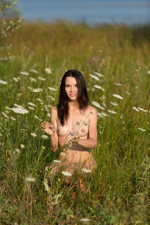 Lost In The Meadow 14
